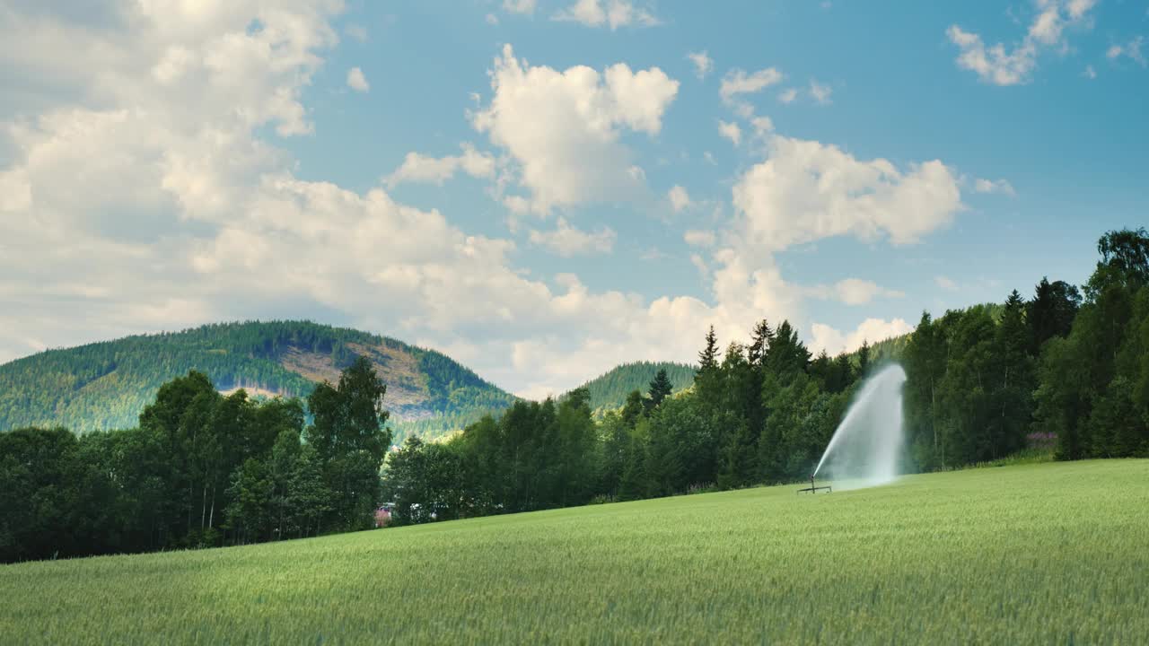 一幅如画的乡村风景画是一片绿色的麦田，灌溉系统运转良好。挪威的农业视频下载