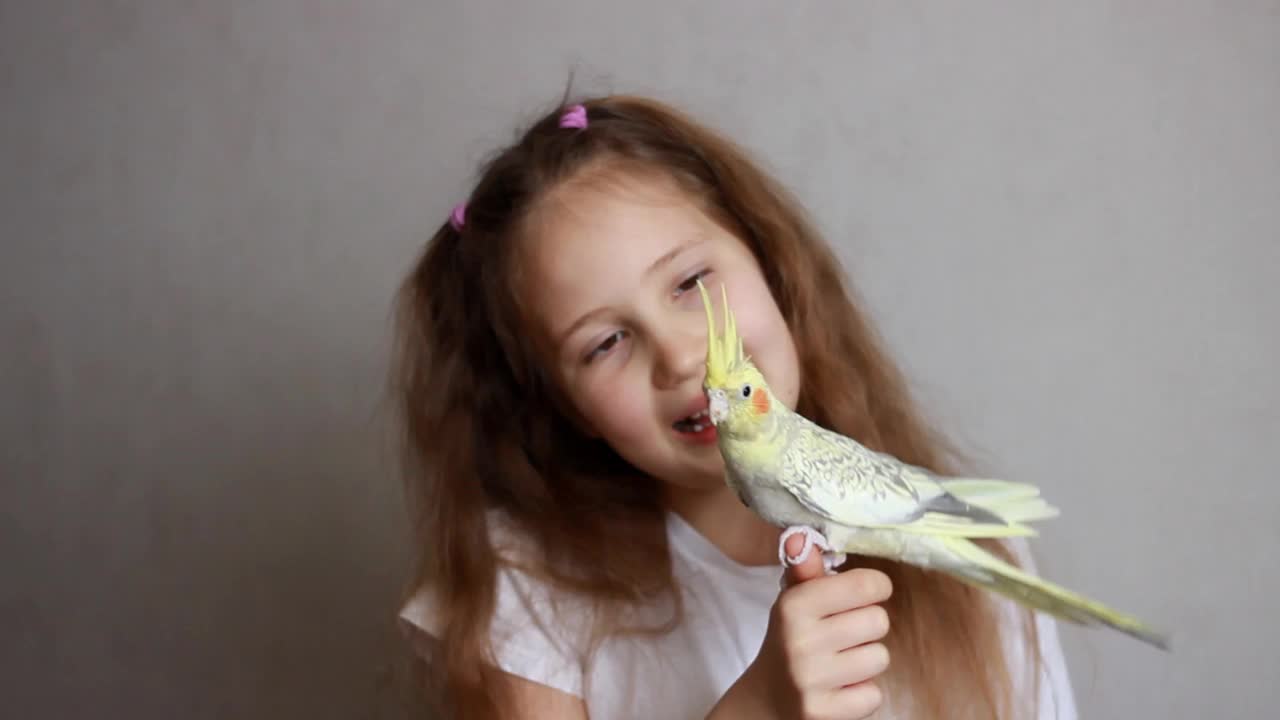 小女孩正在和他的宠物——黄色鹦鹉玩耍。孩子在家里和小鸟玩，把它抱在手里，教它说话和亲吻视频下载