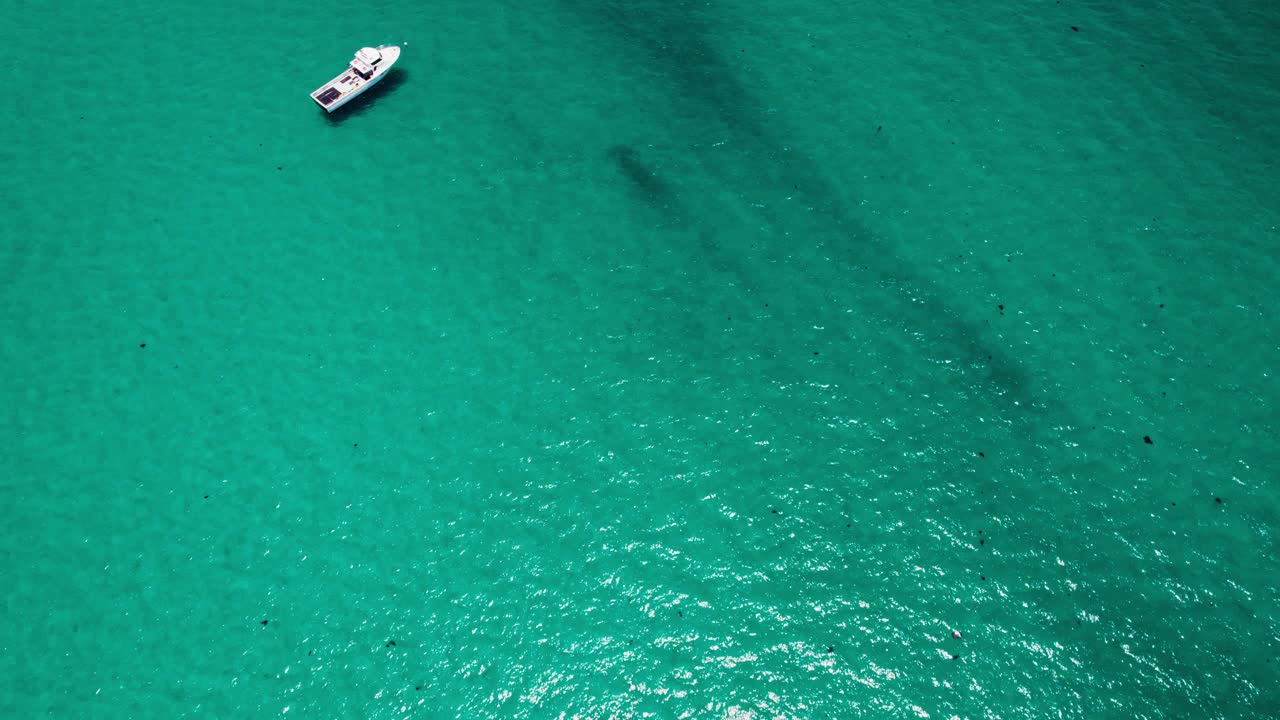白色的渔船在生机勃勃的蓝绿色海洋上视频下载