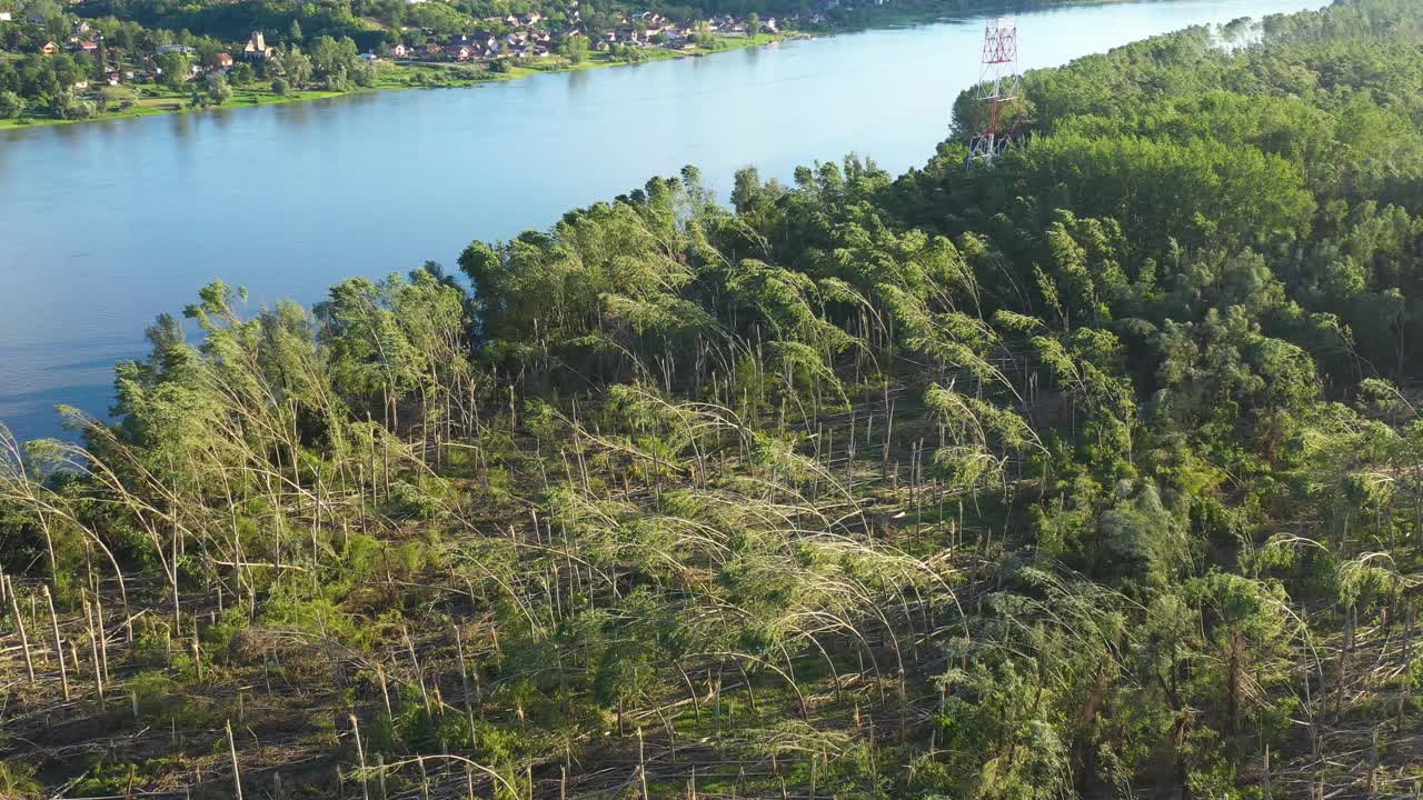 夏季超级单体风暴后被破坏的森林景观航拍图，环境破坏的无人机拍图视频下载