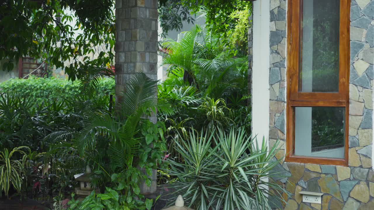 热带阵雨淹没了郁郁葱葱的后院花园，说明了赤道地区常见的气候模式，提供了对天气动态的实时一瞥视频下载