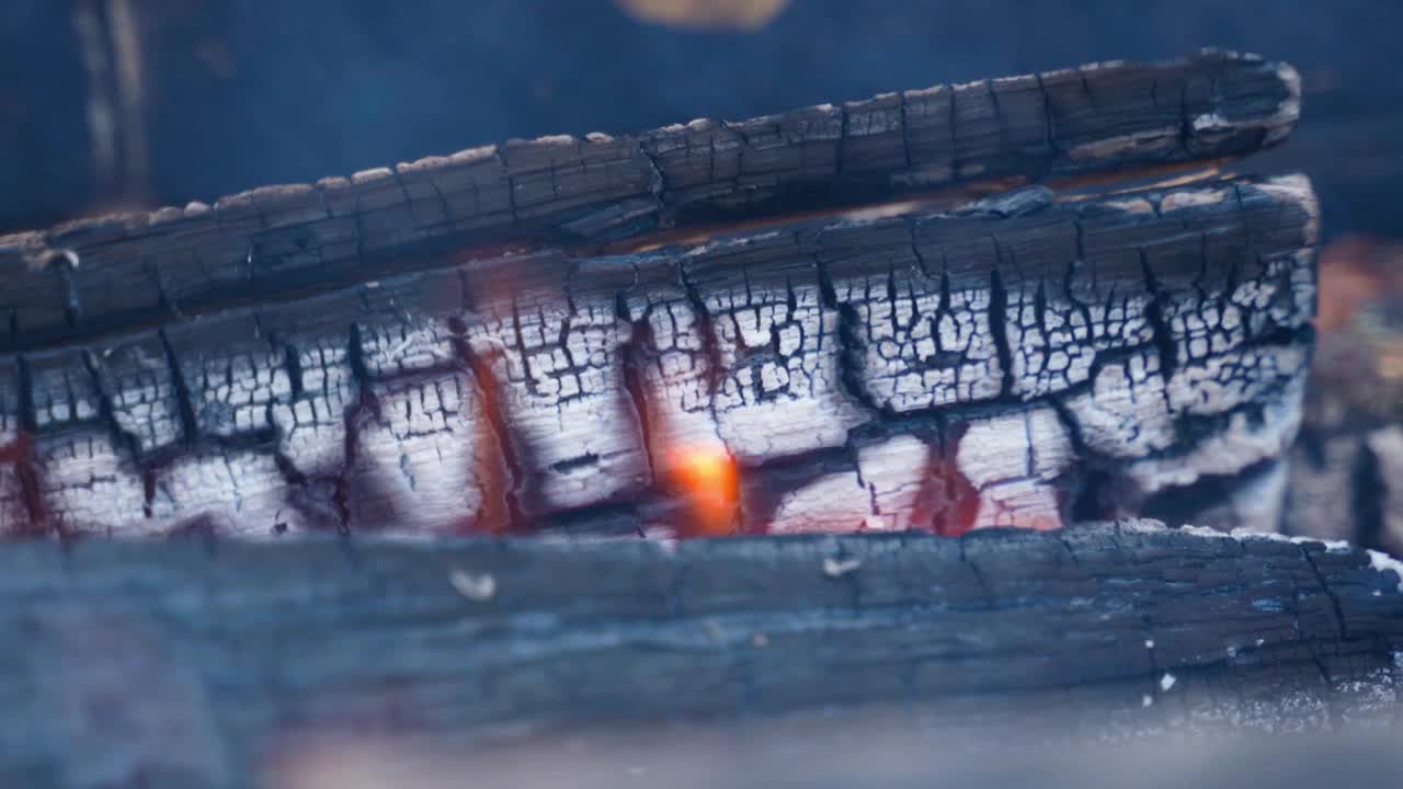燃烧烧焦的柴火特写。篝火背景视频下载