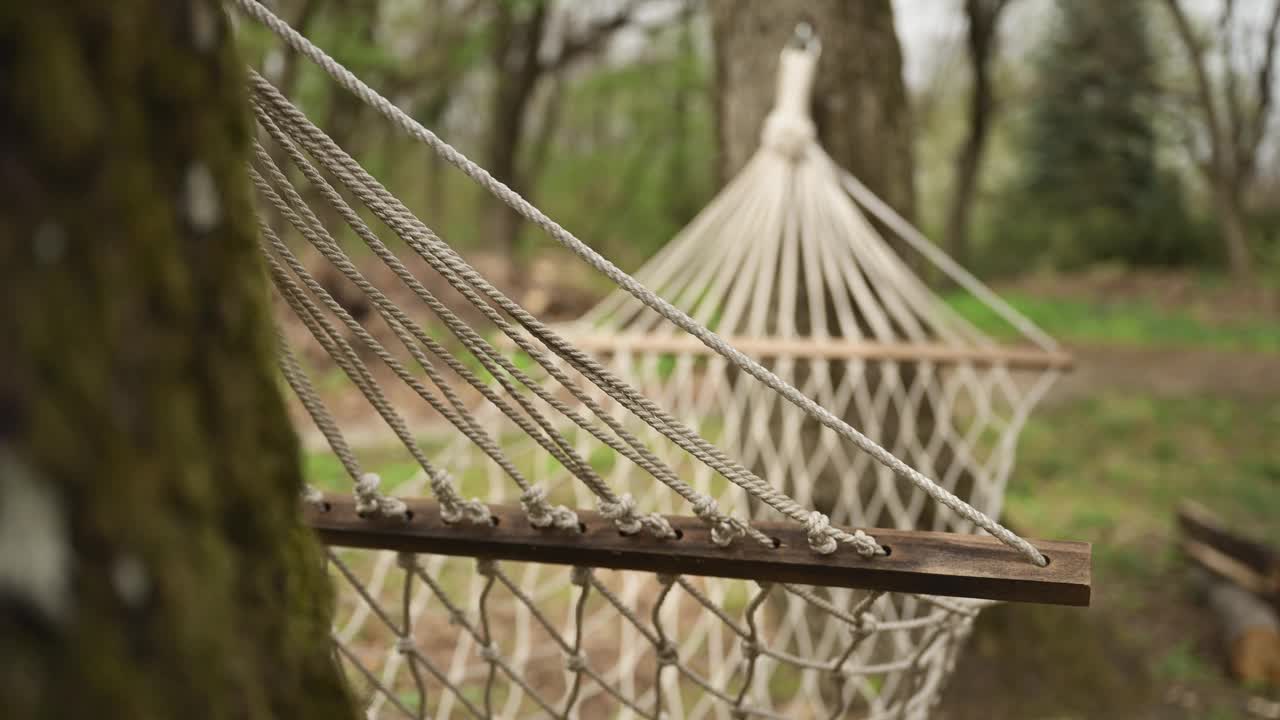 春天树林里的空吊床视频下载