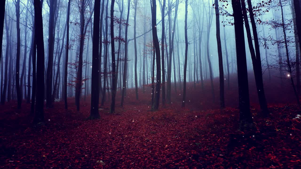 黑暗雾蒙蒙的森林景观与闪烁的萤火虫。视频素材