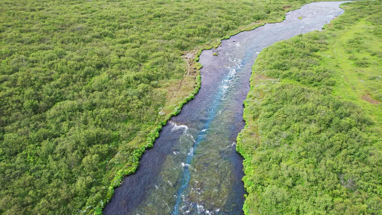 夏天，在荒野中与绿色的田野和流动的河流一起探索视频下载
