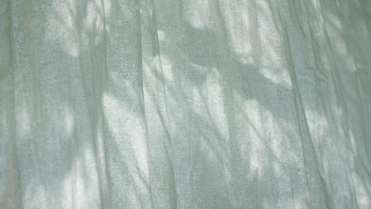 窗帘背景上的叶子阴影视频下载