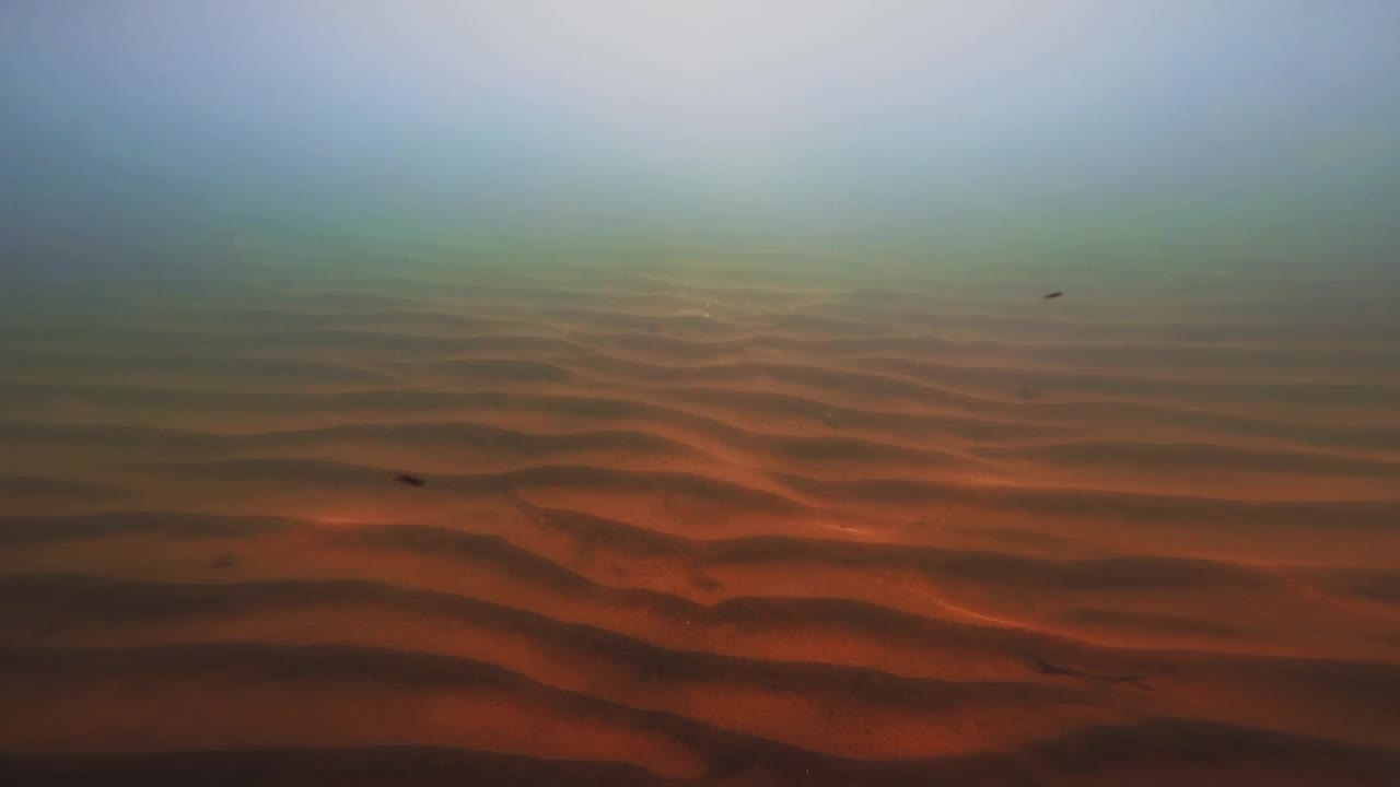 沙质底部覆盖着沙丘，自然背景来自水下深度，大海视频下载