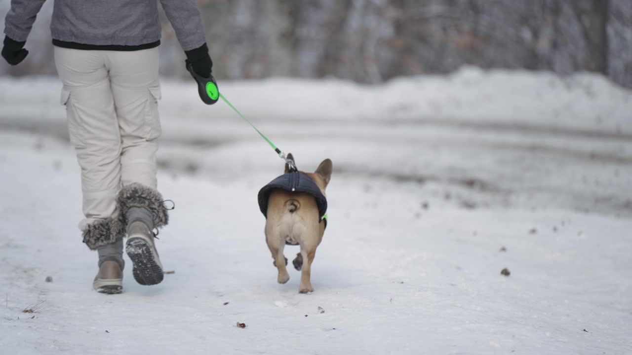 年轻女子带着法国斗牛犬在山林冬雪景观中奔跑，慢动作视频下载