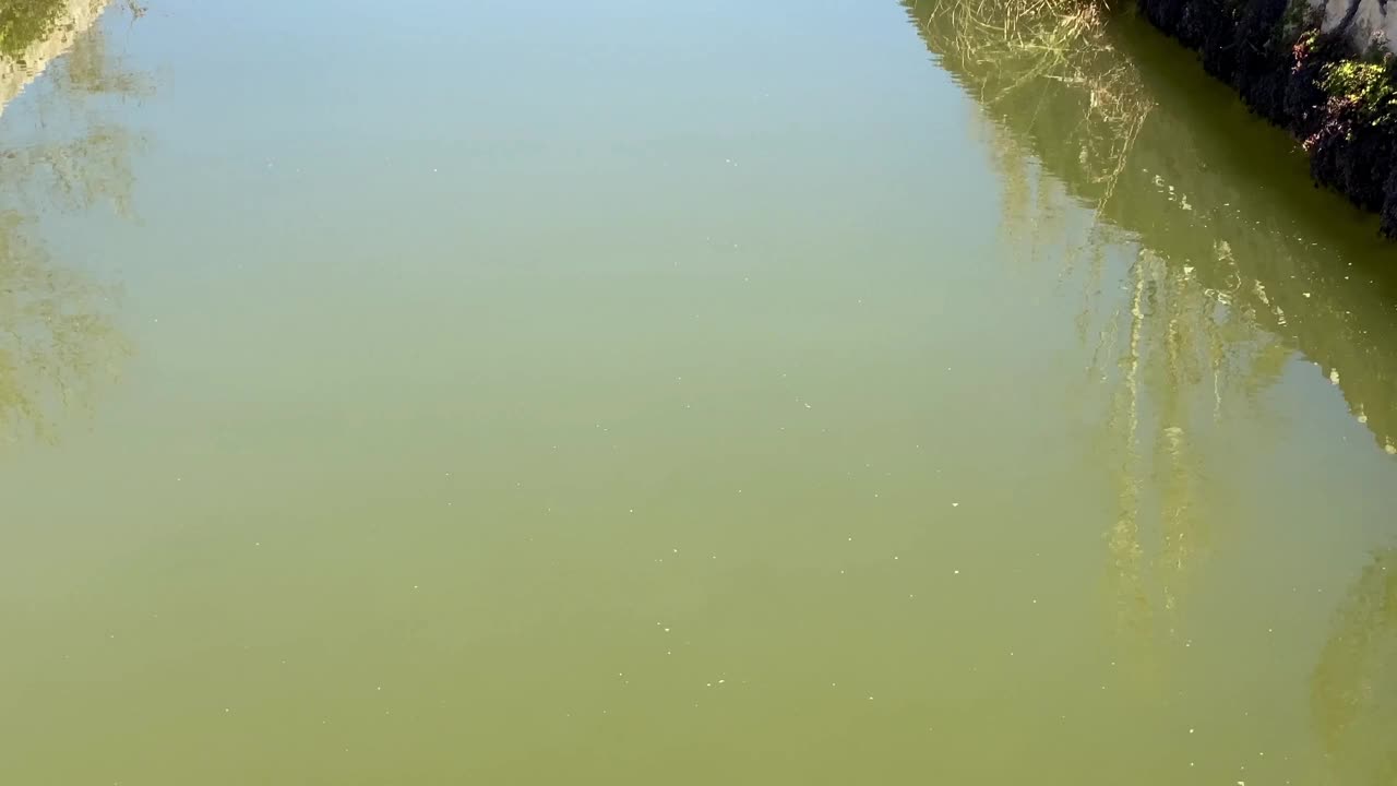 西班牙巴伦西亚有人工河流的公园视频下载