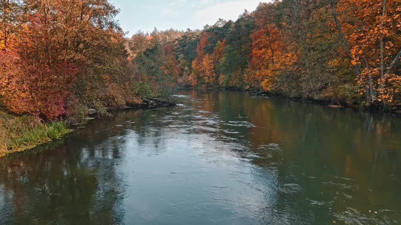秋天的布尔达河和波兰色彩斑斓的森林。视频下载