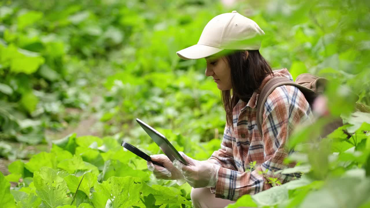 一位女性植物学家研究植物物种，并在雨林中使用数字平板电脑。环境和生态系统概念。生物活动。视频下载