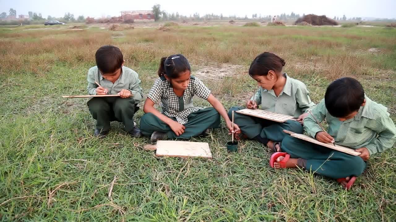 一群小学生在户外大自然的木板上写字视频下载