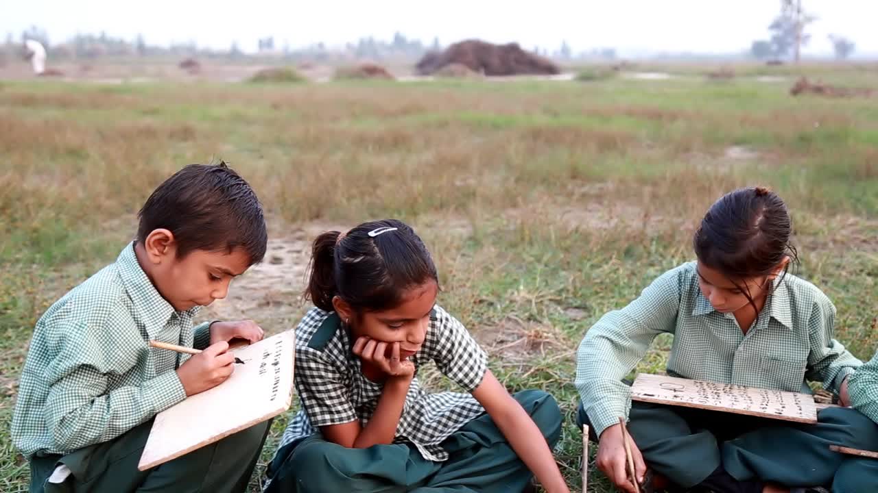 一群小学生在户外大自然的木板上写字视频下载