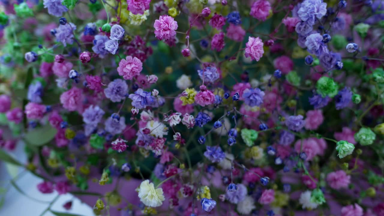 插花-多色和彩虹花的gypsophila特写。花束营造气氛。花组成。选择性聚焦，小花视频下载