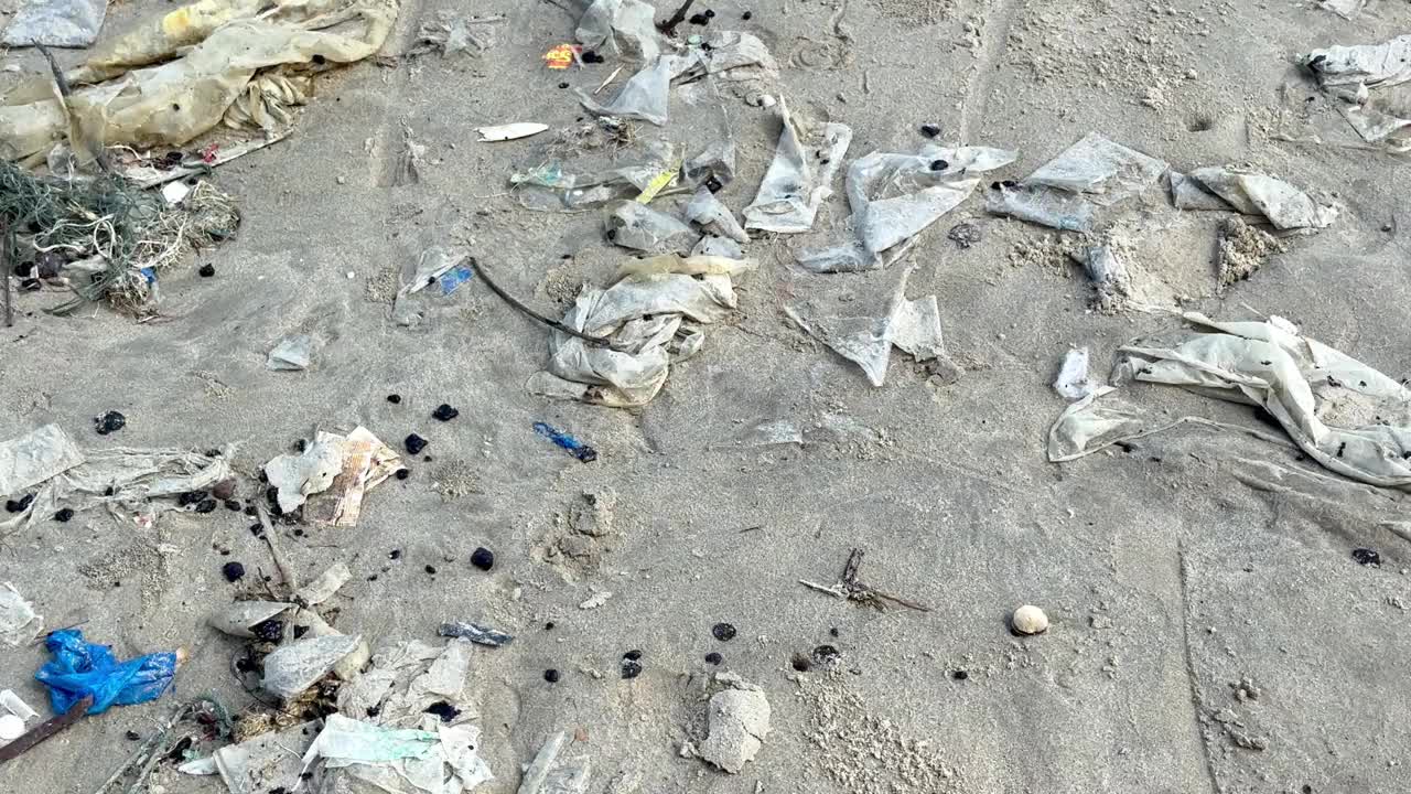 泳滩的环境污染视频下载