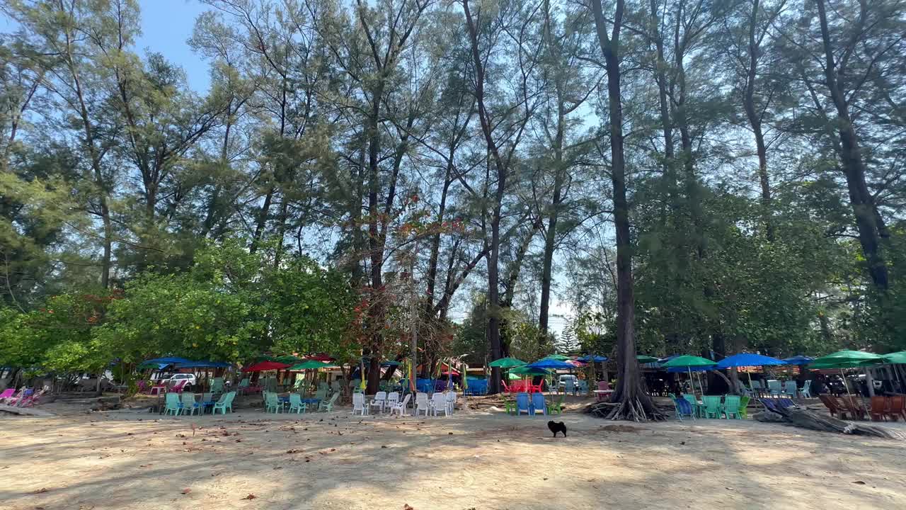 泰国南部庄省的白孟海滩视频下载