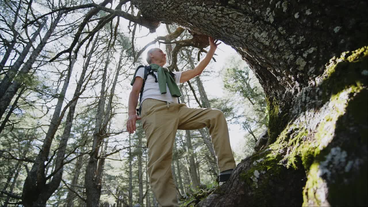 老人在森林里摸树。视频下载