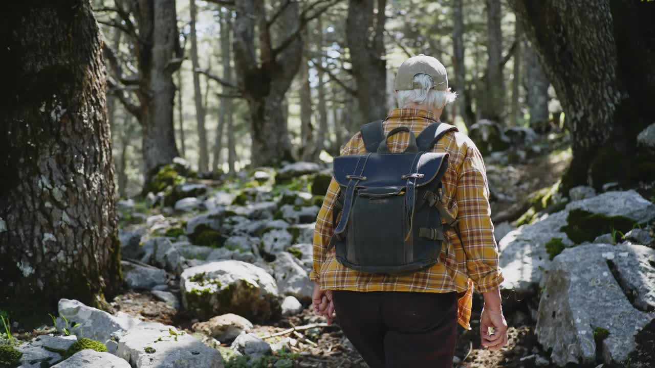 健康活跃的老年妇女在森林里散步。视频下载