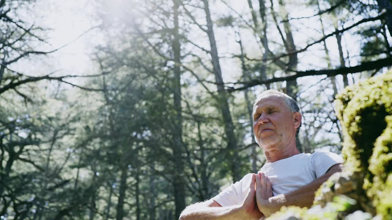 白发苍苍的老人在森林里沉思。视频下载
