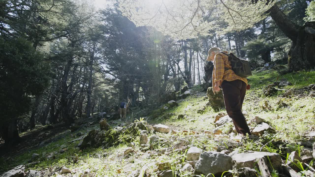 健康活跃的老年妇女在森林里散步。视频下载