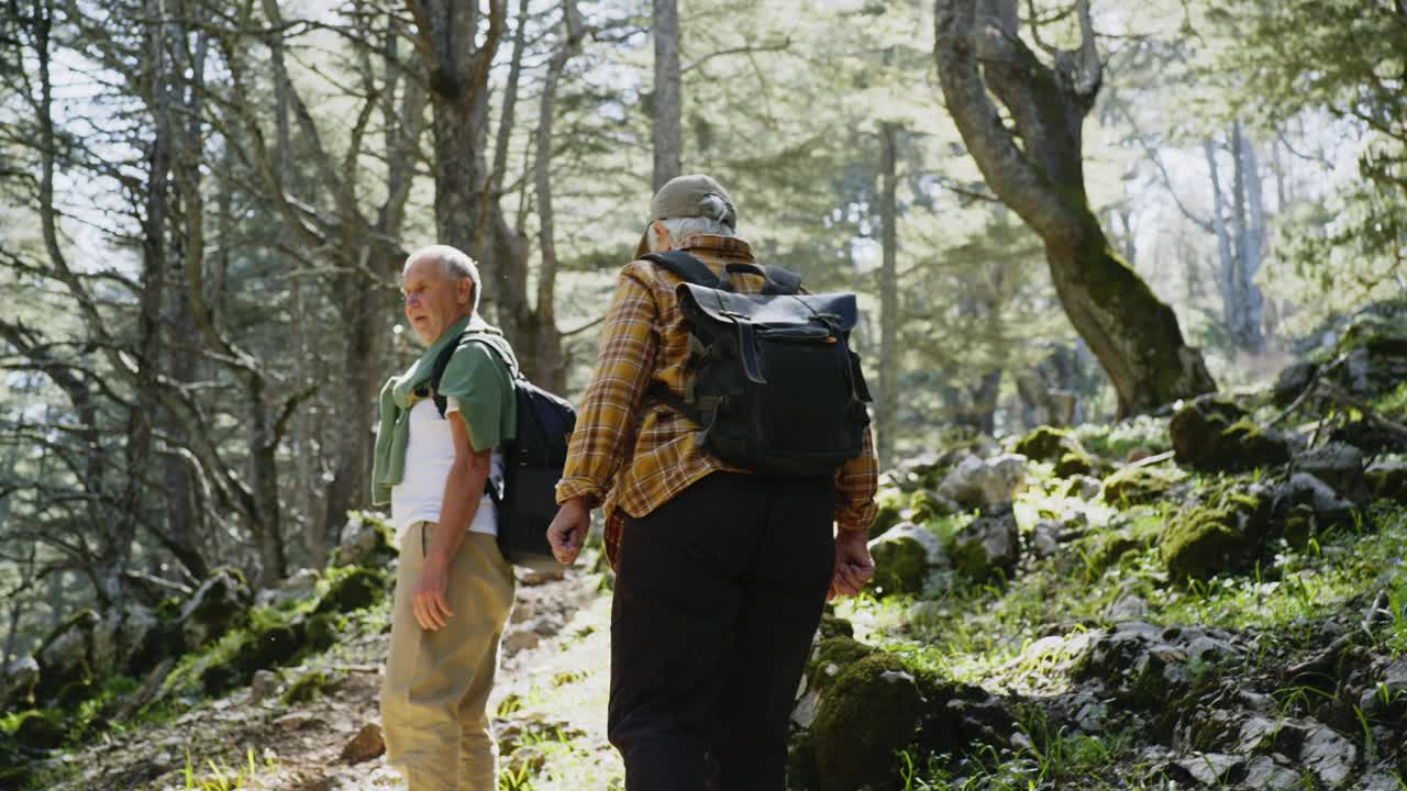 健康活跃的老夫妇在森林里散步。视频下载