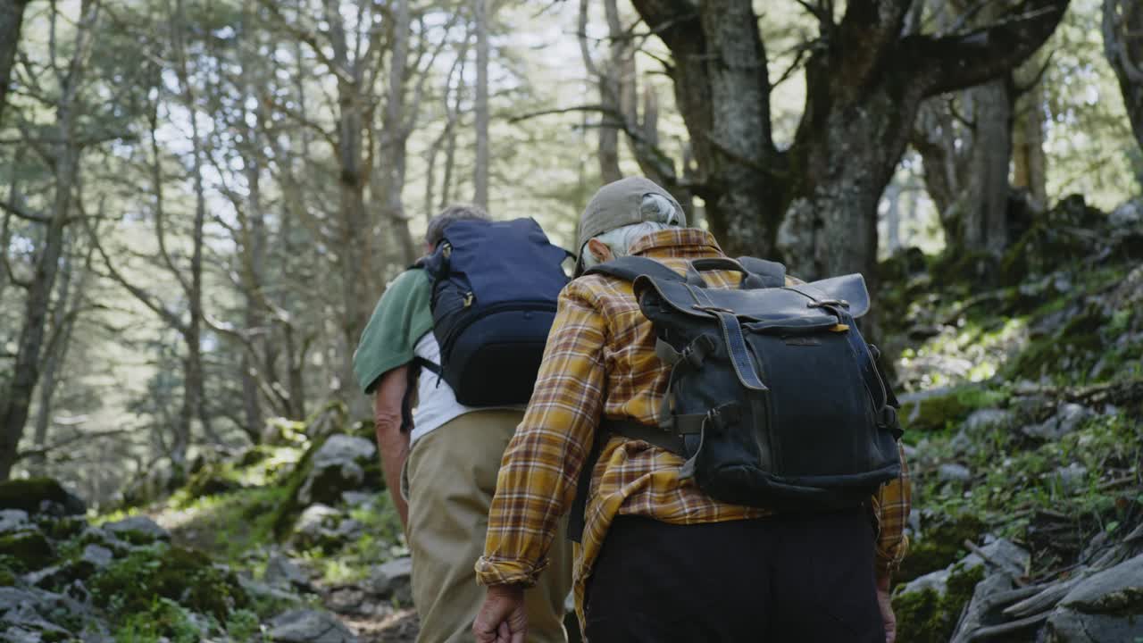 健康活跃的老夫妇在森林里散步。视频下载