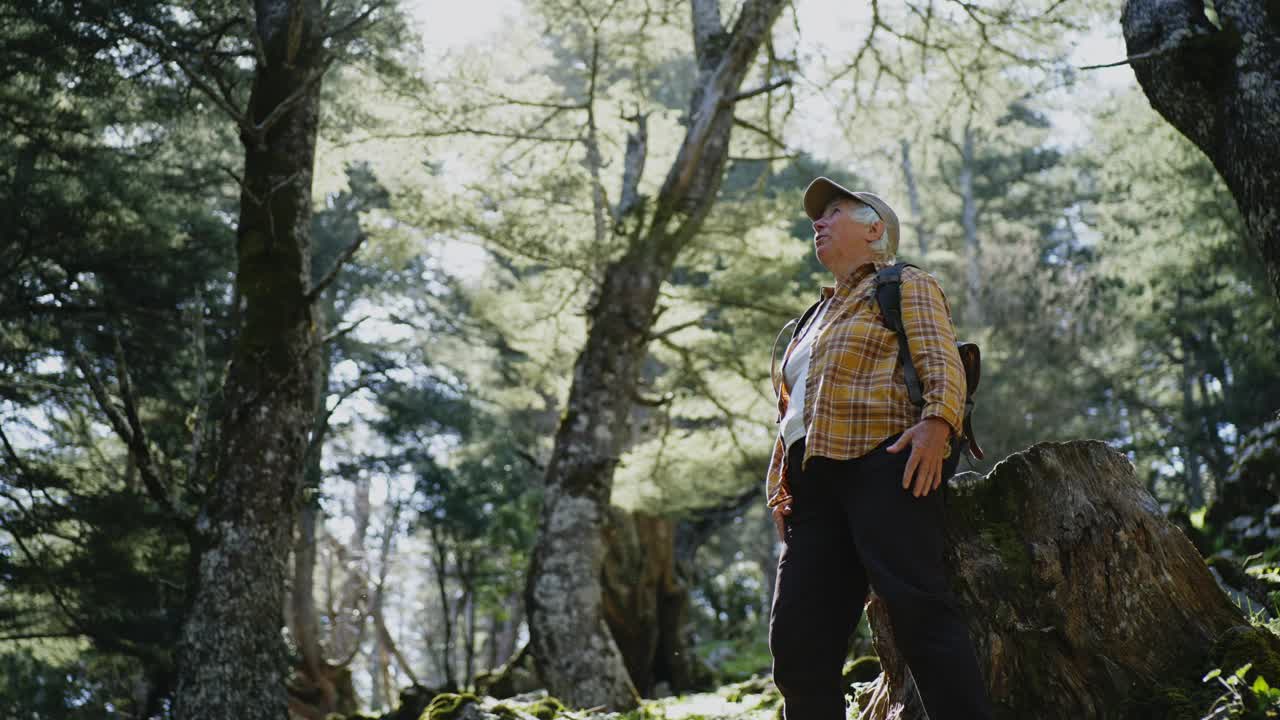 老年妇女在森林里徒步旅行。视频下载