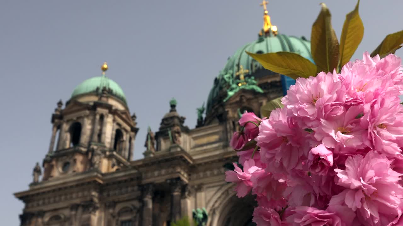春天的柏林大教堂视频下载