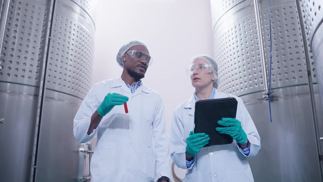 在葡萄酒发酵室内，两名专业的研究人员，一名黑人男性和一名白人女性，都穿着清洁防护工作服，一起讨论，带着积极的表情，从发酵罐中取样红酒进行质量检查。视频下载