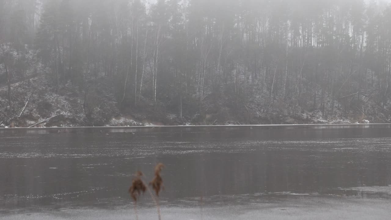 在冬天多雾的天气里，河岸和水视频下载