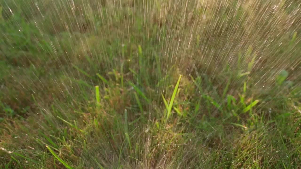一股水流从不同的方向浇灌着草地，夏日的傍晚，落日的余晖洒在草地上视频下载