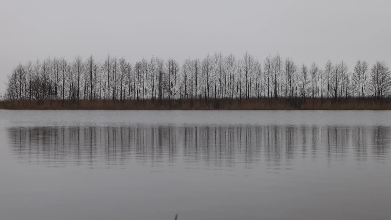 霜冻时湖面上的冰视频下载