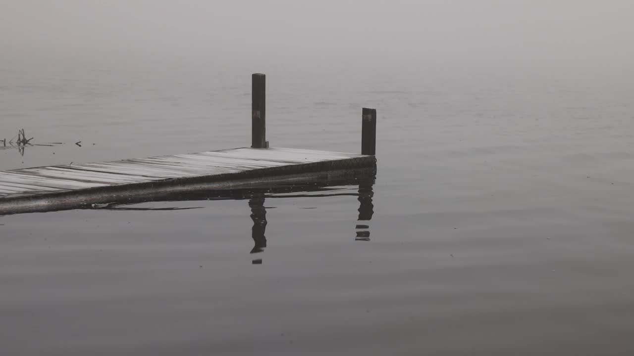 美丽的自然在雾与非常低的能见度在河上视频下载