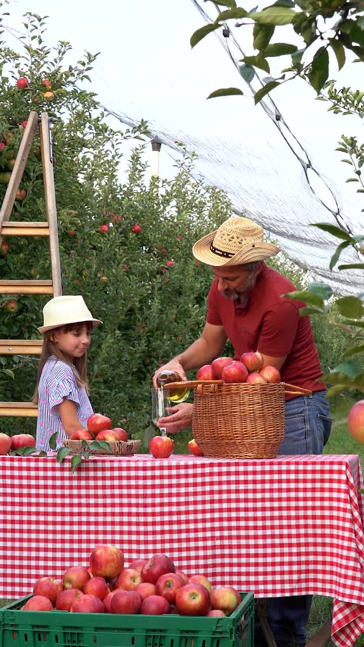 农夫教他的小女儿有机苹果汁的制作过程视频下载