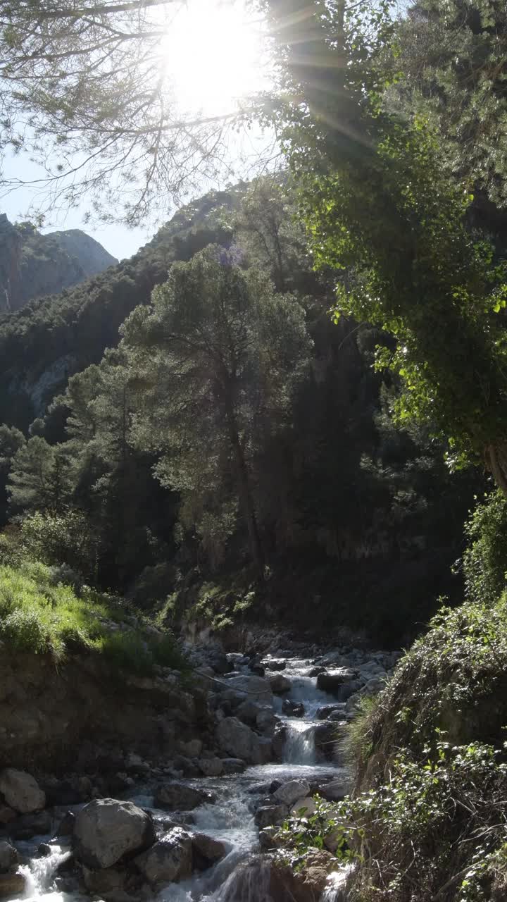 山上有一条小河。4 k垂直视频下载