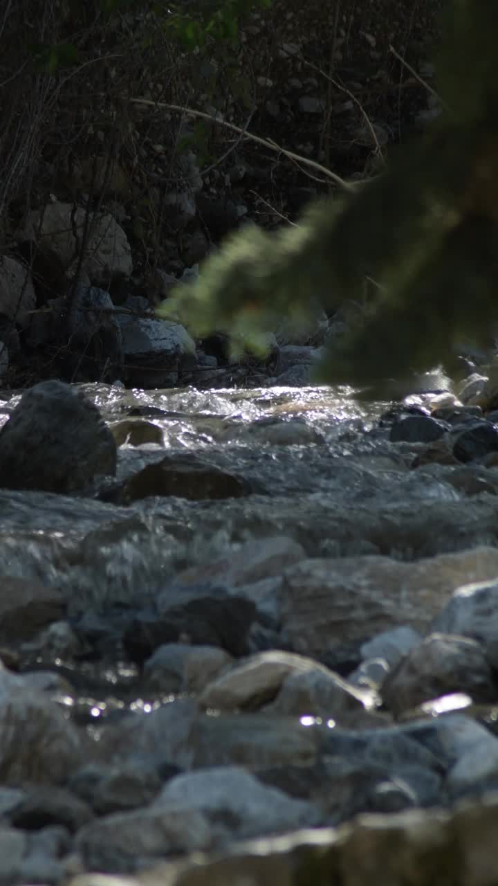 小河里的流水。4 k垂直视频下载