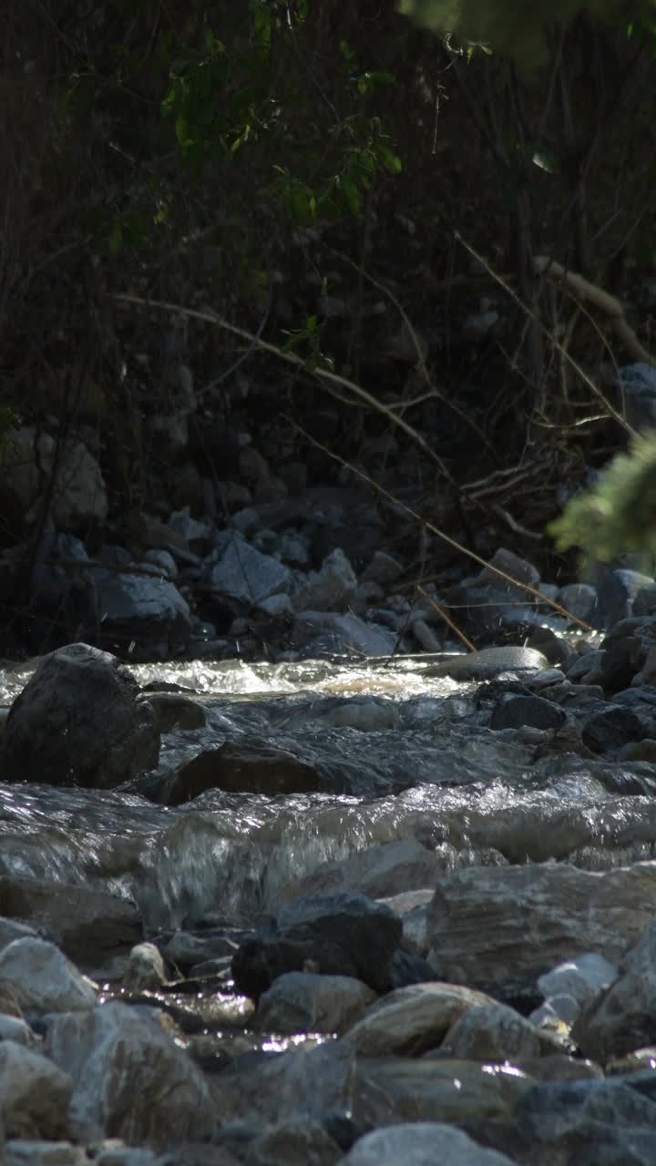 小河在山石间流淌。4 k垂直视频下载
