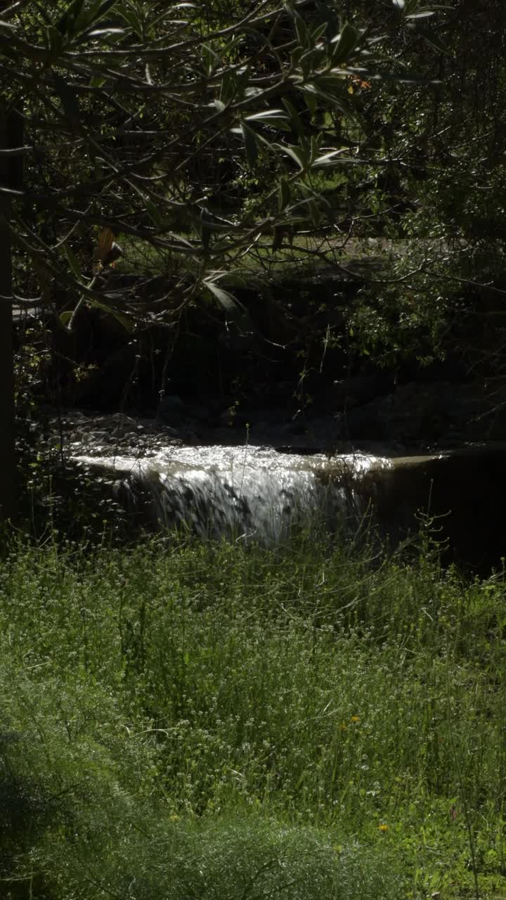 山间河流中流淌着小瀑布。4 k垂直视频下载