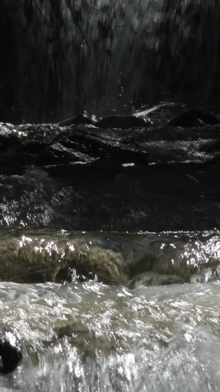山间流水。4 k垂直视频下载
