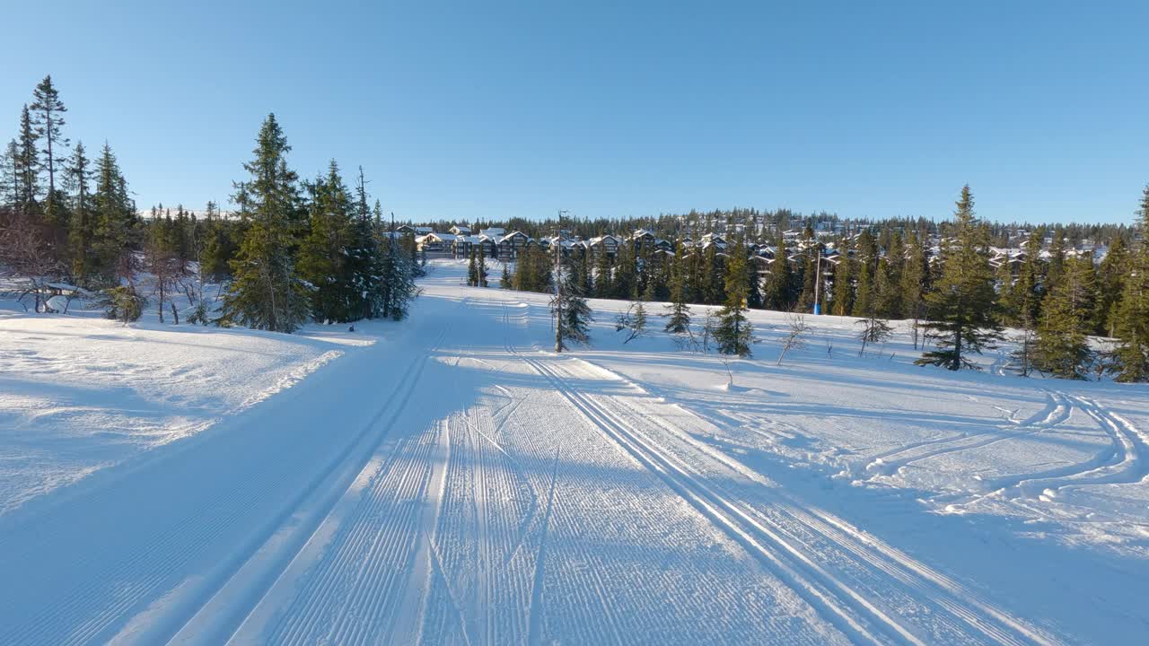 POV在松树间滑雪探险视频下载