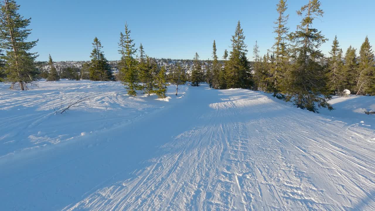 惊险的滑雪冒险在松树视频下载