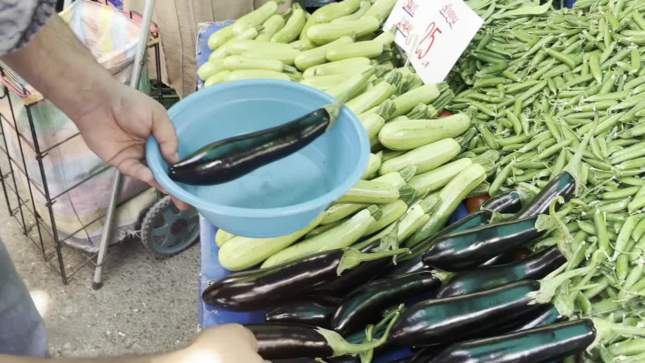 选择茄子在绿色杂货商4k库存视频视频下载