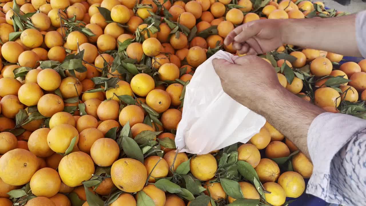 选择橙色在绿色杂货商4k库存视频视频下载