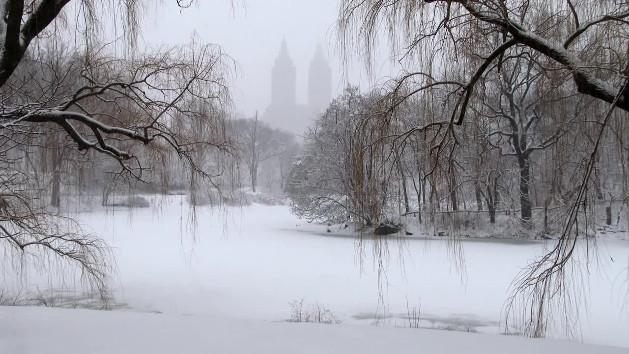 冬雪中中央公园的湖景视频下载