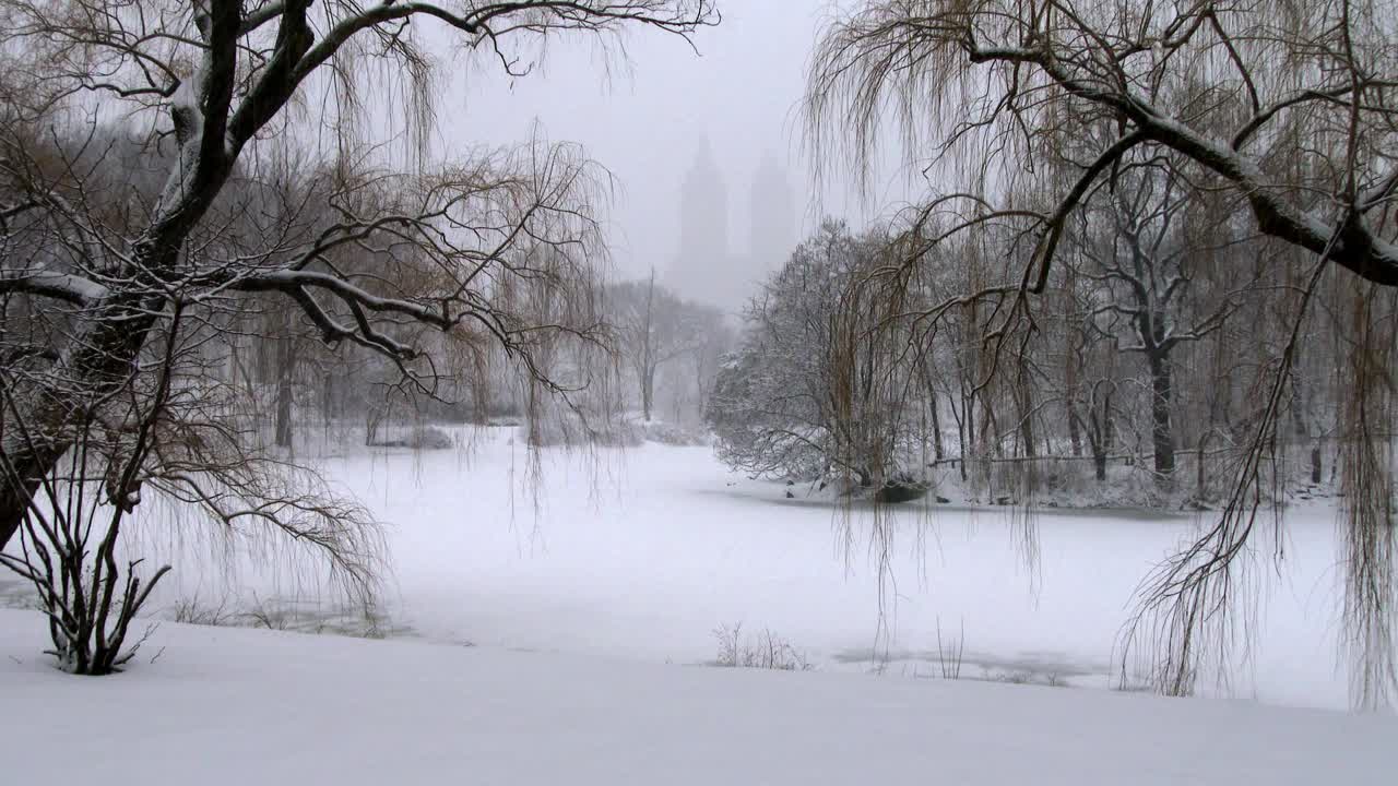 冬雪中中央公园湖的全景视频下载