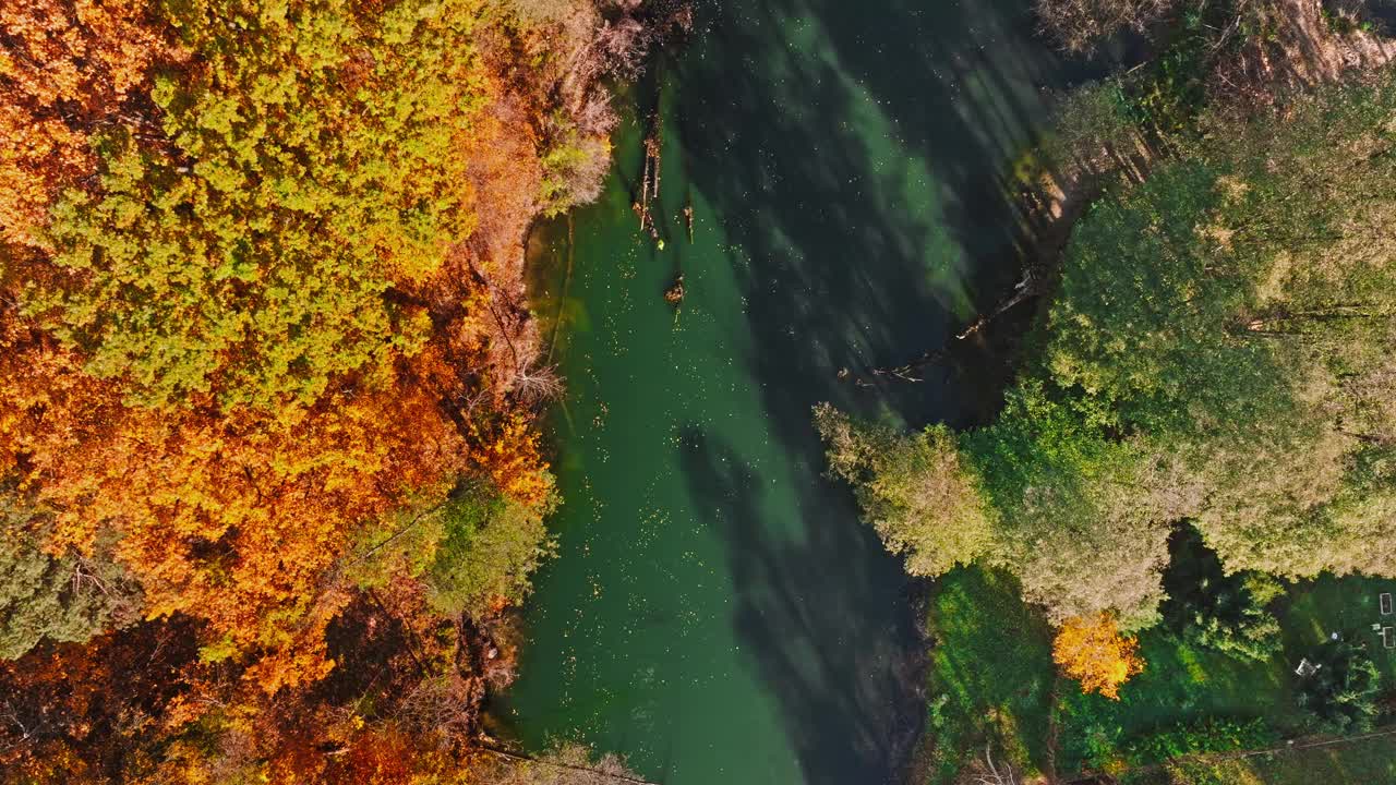 波兰，布尔达河畔，日出时五彩缤纷的秋树。视频下载