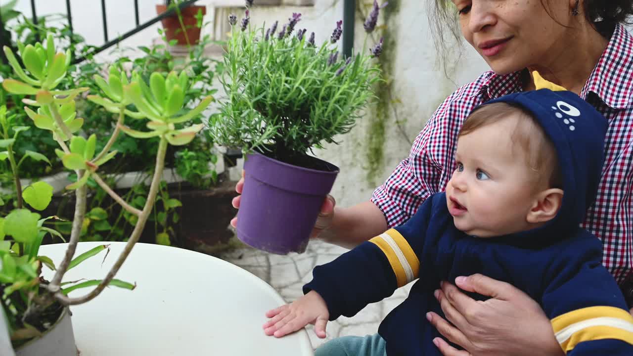 快乐的母亲闻着盛开的薰衣草，在后院园艺后放松，抱着她可爱的儿子在她的腿上视频下载