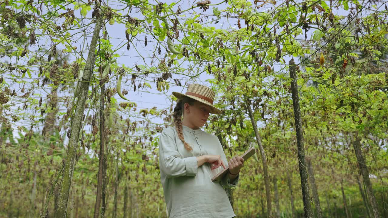 戴帽子的女农民在菜场检查干枯的收成。年轻的农学家正在检查枯萎的植物，并将数据输入电子平板电脑。现代农业综合企业，精准农业理念。视频下载