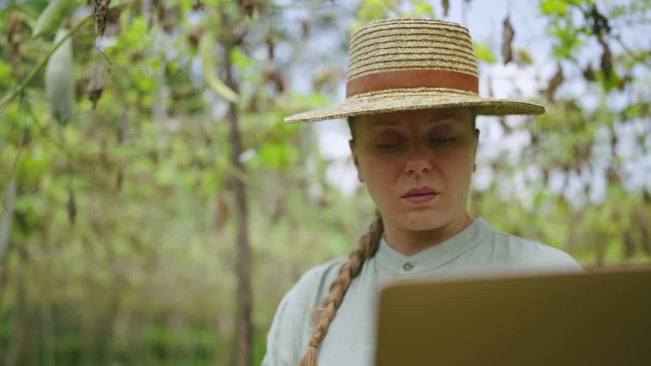 女农学家用手提电脑检查农场上的蔬菜收成。年轻的女农民检查绿瓶货物，将数据输入电脑。现代农业综合企业的概念。收获损失。视频下载