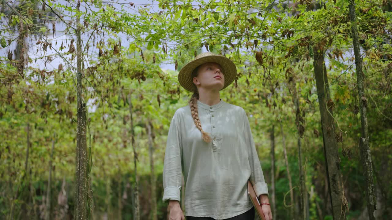女农艺师检查菜场的坏收成。高加索女农民走在干树叶果园。由于全球变暖的干旱，农民工人患上了严重的植物疾病视频下载